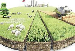 ‘Girdi’ fiyatlarında ekimde artış yaşandı