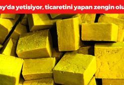Türkiye'de en çok Hatay'da yetişiyor! Ticaretini yapan zengin oluyor: Saç egzaması ve kaşıntısının çaresi onda