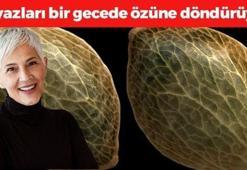 Sağlıksız saçları 1 gecede canlandıran mucizevi İbn-i Sina tarifi