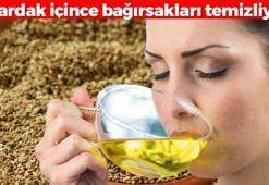 Limonla karıştırıp içince kabızlığın kökünü kazıyor! Tıkalı bağırsakları 1 bardakta açan karışım: Yağ, ödem, toksin bırakmıyor