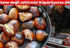 Kestane değil zehir yiyormuşuz! Gerçek fiyatı etle yarışıyor: Pişirirken köpürüyorsa ağzınıza sürmeyin