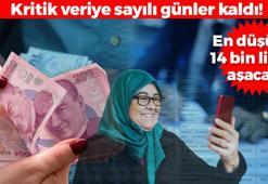 Kritik veriye sayılı günler kaldı! Memur ve memur emeklisinin cebine 2024'te kaç TL girecek?