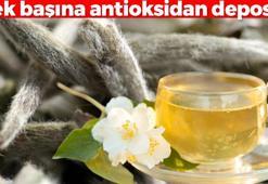 Tek başına antioksidan deposu! Çinliler bardak bardak içiyor: 2 dakikada vücudu dipçik gibi yapıyor