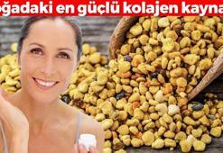 En güçlü kolajen kaynağı oymuş! Yaşlanmayı tarihe gömüyor, tek damlası cilt yaralarını iyileştiriyor