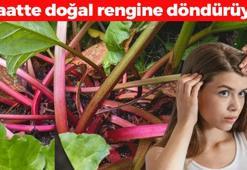 Beyaz saçlara çözüm ezberleri bozdu! 1 saatte doğal rengine döndürüyor