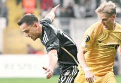 Aslan'a genç viking