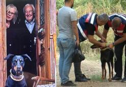 Korhan Berzeg'in köpeğinin tuhaf halleri! Sürekli aynı şeyi yapıyor