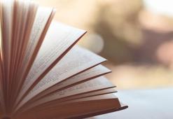 Sebk-İ Hindi Akımı nedir, temsilcileri kimlerdir? Sebk-İ Hindi Akımı eserleri nelerdir?