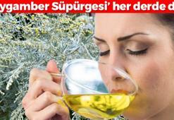 Peygamber süpürgesi olarak biliniyor! Türkiye'de kendiliğinden yetişiyor: Kanser hücrelerini darma duman ediyor