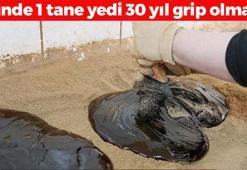 Kanuni Sultan Süleyman'ın annesine derman olmuş! Günde bir defa tüketen 30 yıl boyunca grip olmuyor