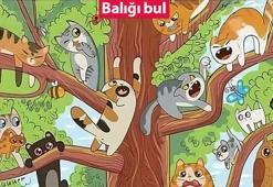 Zeka ve görme becerisini aynı anda test ediyor! Resimdeki balığı 5 saniyede bulabilir misiniz?