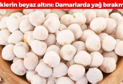 Türklerin beyaz altını: Damarlarda yağ bırakmıyor, kolesterolü anında düşürüyor! Demir depolarını hızlıca dolduruyor