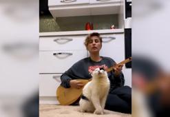 Türkü dinlerken kendinden geçen kedi sosyal medyada büyük ilgi gördü