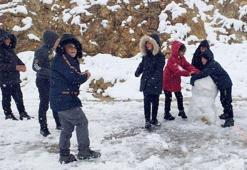 Okullar tatil! Hava durumu nedeniyle bazı illerde kar tatili