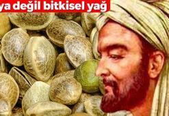 Boya değil bitkisel yağ! Beyaz saçları 1 gecede özüne döndüren İbn-i Sina önerisi