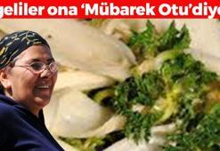 Halk arasında herkes ona 'Mübarek Otu' diyor! Egeliler sofrasından eksik etmiyor: Magnezyum ve demir seviyesini zirveye taşıyor