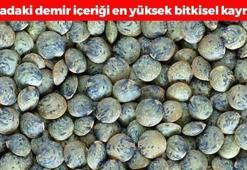 Doğadaki demir deposu! Protein ve demir içeriği yumurta ve eti solluyor