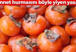Cennet hurmasını böyle yiyen yaşadı! Pazarda gören koli koli alıyor: Tıkanan bağırsakları makine gibi çalıştırıyor