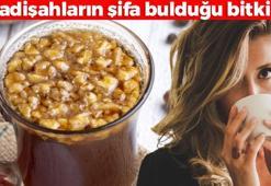 Padişahların doğal ilacı: Her hastalığın şifasıymış: 70 çeşit faydasıyla bir tek ölüme çaresi yok