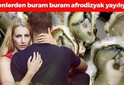 Cinsel performansı yüzde 180 artırıyor: Bu besinleri yiyenlerden buram buram afrodizyak yayılıyor