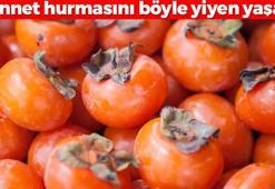 Cennet hurmasını böyle yiyen yaşadı! Pazarda gören torba torba alıyor: Tıkanan bağırsakları makine gibi çalıştırıyor