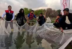 Kırmızı listedeki 'leopar sazanı' Dicle'de tespit edildi