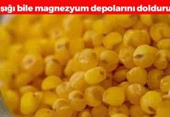 Magnezyumun zirvesi! Dünyanın süper gıdası! 1 kaşığı bile magnezyum depolarını doldurmaya yetiyor!