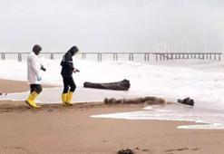 Son 10 günde 14 ceset! Sahile vuran cansız bedenlerin sırrı çözüldü