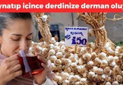 Taşköprü'den tüm Türkiye'ye yayılıyor! Kilosu 150 liradan satılıyor: Kaynatıp içen kış boyu hasta olmuyor