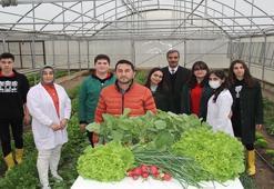 Liselilerin serada yetiştirdiği sebzeler sofrada
