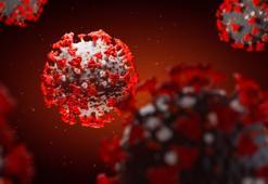 Üçlü virüse karşı bunları yiyen yaşadı!