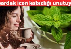 Bağırsakları anında boşaltıyor! 1 bardak içen kabızlığı unutuyor, karnı dümdüz oluyor