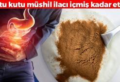 Kutu kutu müshil ilacı içmiş kadar etkili! Yoğurtla karıştırınca 1 dakikada bağırsakları açıyor: Kabızlığın, basurun çaresi onda