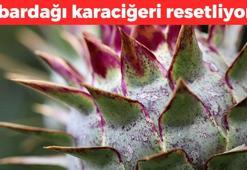 1 bardağı karaciğeri resetliyor! A, B1 ve C vitamini zengini, ölümden başka her derde deva