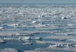 Bu soru bazıları için çocuk oyuncağı! Kutup ayısı nerede? Bulmak için 11 saniyeniz var