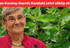 Canan Karatay'ın da favorisi: Kandaki zehri söküp atıyor, bağışıklığı güçlendiriyor