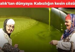 Ayvalık'ta özel üretiliyor: Dünyada kapış kapış satılıyor! Kabızlığın bilinen tek çaresi, kalbi ve damarları da koruyor