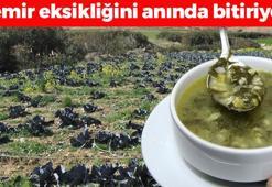 Demir eksikliğini anında bitiriyor: Dünyanın en kötü yemekleri arasında yer alıyor ama yiyen 100 yaşını görüyor!