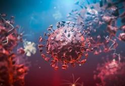 Sık sık hastalananlar dikkat! Enfeksiyonların bulaşma yolları ve korunma yöntemleri!