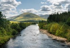 Rüyada Akan Su Görmek Ne Anlama Gelir? Rüyada Akan Su Görmek Nasıl Yorumlanır, Neye İşarettir?