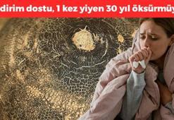 İyot ve kükürt zengini, sindirimin en büyük dostu! 1 kez yiyen 30 yıl öksürmüyor