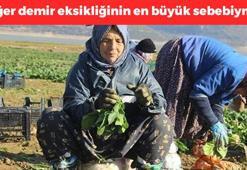 Demir deposu diyorlardı ama yalan çıktı! O şekilde yiyenler yandı: Meğer demir eksikliğinin sebebi oymuş!