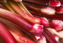 Pazar tezgahlarına indi, ünü ABD'ye kadar yayıldı: Doğal kanser ilacı olarak kullanıyorlar!