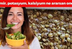 Demir, potasyum, kalsiyum ne ararsan onda: Kolesterolü silip atıyor! Doymuş yağ oranı en düşük besin