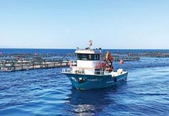 Türk sularından dünya sofralarına yolculuk