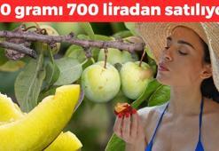 Doğal şeker ilacı: 100 gramı 700 liradan satılıyor!  1 tanesi bile kan şekerini anında dengeleyip vücuda C vitamini yüklüyor