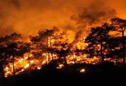 Rüyada Yangın Çıktığını Görmek Ne Anlama Gelir? Rüyada Yangın Çıktığını Görmek Nasıl Yorumlanır, Neye İşarettir?