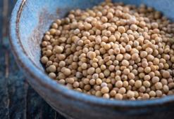 Yoğurtla kaşık kaşık tüketin! Vücudu demire ve kalsiyuma doyuruyor, aktarlarda yok satıyor