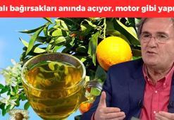 İbrahim Saraçoğlu ısrarla tavsiye etti: Şiddetli kabızlık şikayetiniz varsa muhakkak kullanın! Bağırsakları motor gibi çalıştırıyor