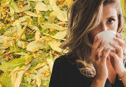 Ihlamuru böyle içmek organları bitiriyor! Herkesin bilmeden yaptığı hata: 1 bardağı bile resmen zehre dönüşüyor